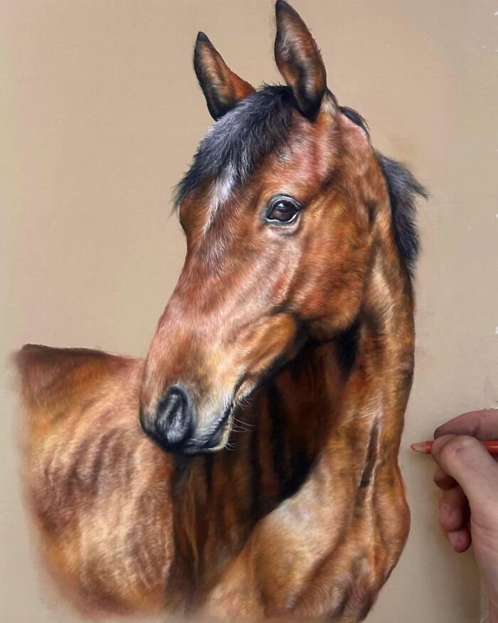 Realistic horse portrait drawing with pencil details being added by an artist's hand.