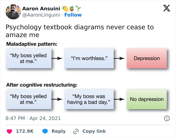 Philosophy meme comparing maladaptive pattern versus cognitive restructuring in psychology flowchart.
