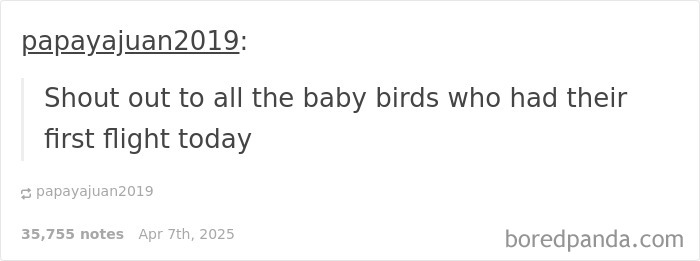 Millennial humor meme about baby birds taking their first flight, shared by user papayajuan2019 on boredpanda.com.