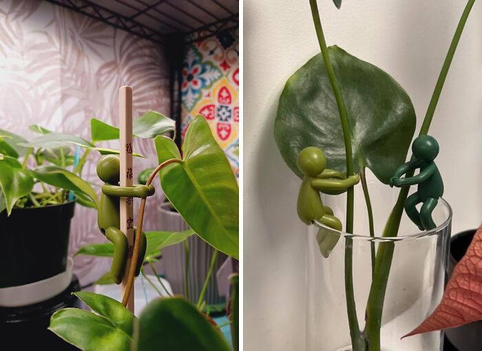 Green plant clips shaped like tiny figures hugging plant stems, showcasing creative Amazon finds for plant care and decor.