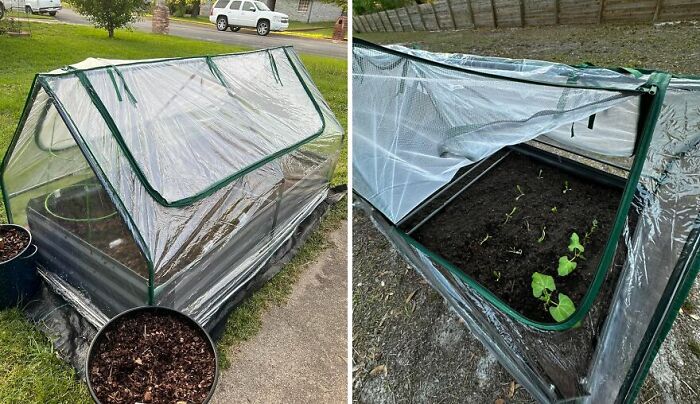 Portable garden greenhouse with plants growing inside, demonstrating a perfect purchase.