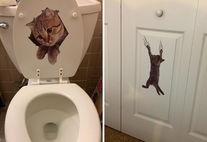 Toilet seat with a playful cat decal and a door featuring a cat decal with claws, showcasing unique Amazon finds.