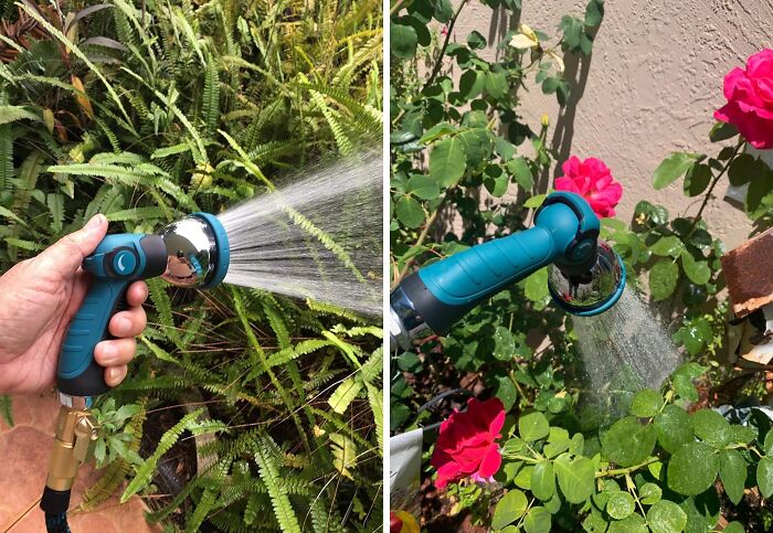 Gardening tool spraying water on ferns and roses, ideal for those with a benign neglect gardening approach.