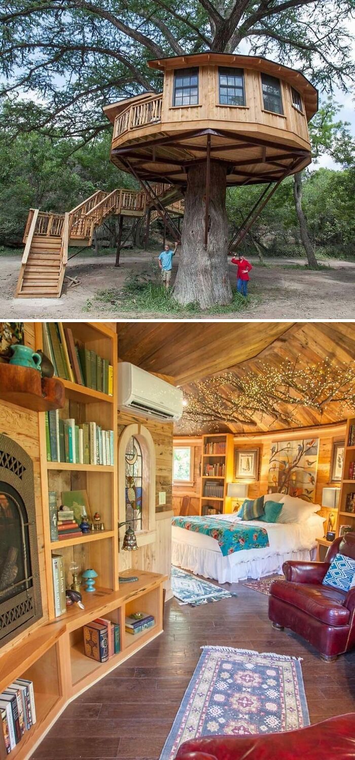 Elevated wooden tiny home built around a tree with cozy, unique interior featuring bookshelves and rustic decor off the grid living.