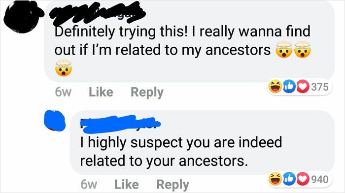 Cringe-worthy social media exchange about being related to ancestors, with humorous reactions and likes displayed.