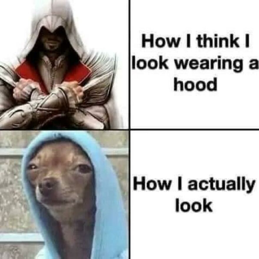 Funny comparison of a character in a hood versus a cute dog in a blue hood, highlighting humor and cuteness in animals.