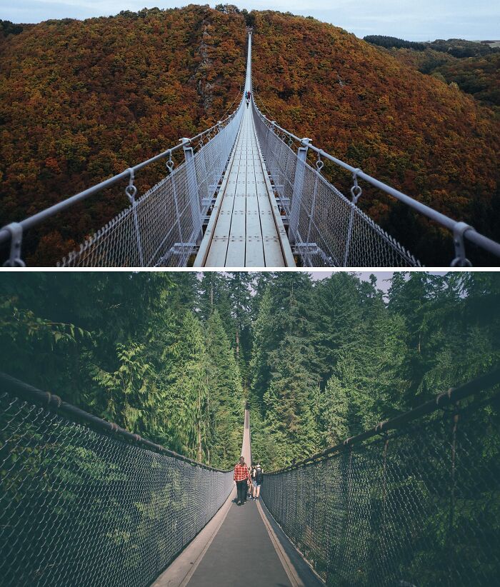 Two scenic suspension bridges in different parts of the world, surrounded by lush greenery and dense forests.