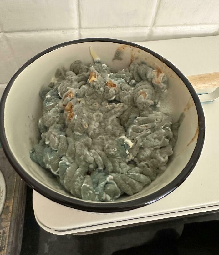 Moldy food in a bowl on a kitchen counter, illustrating a horrible day scenario.