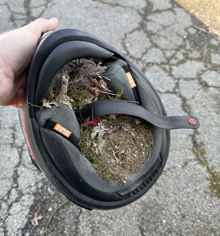 A helmet filled with leaves and dirt, showing someone's horrible day.