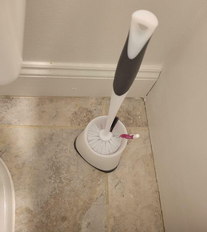 Toothbrush placed in toilet brush holder, symbolizing a horrible day experience.