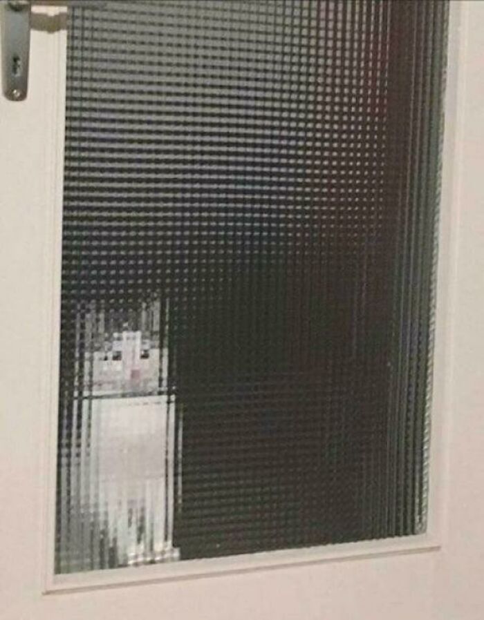 Cat peering through a textured glass door, creating a curious and amusing visual effect.