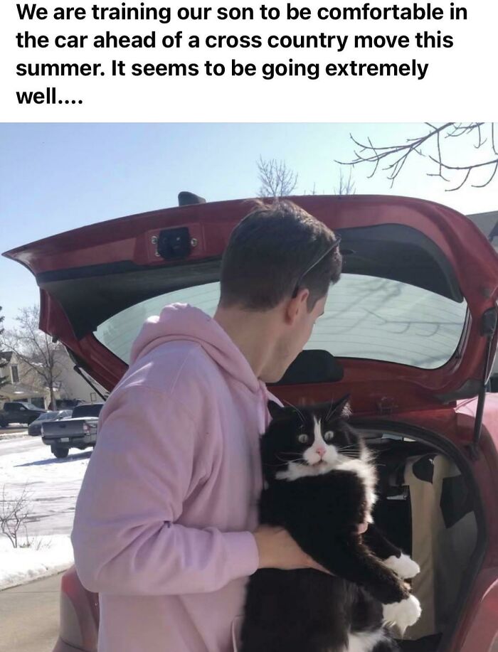 Man in a pink hoodie holding a black and white cat near an open car trunk on a sunny day.