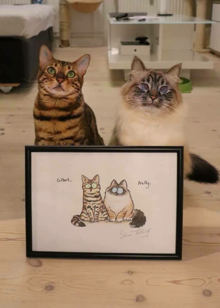 Two cats sitting behind a framed drawing of themselves, embodying a purrfect life moment.