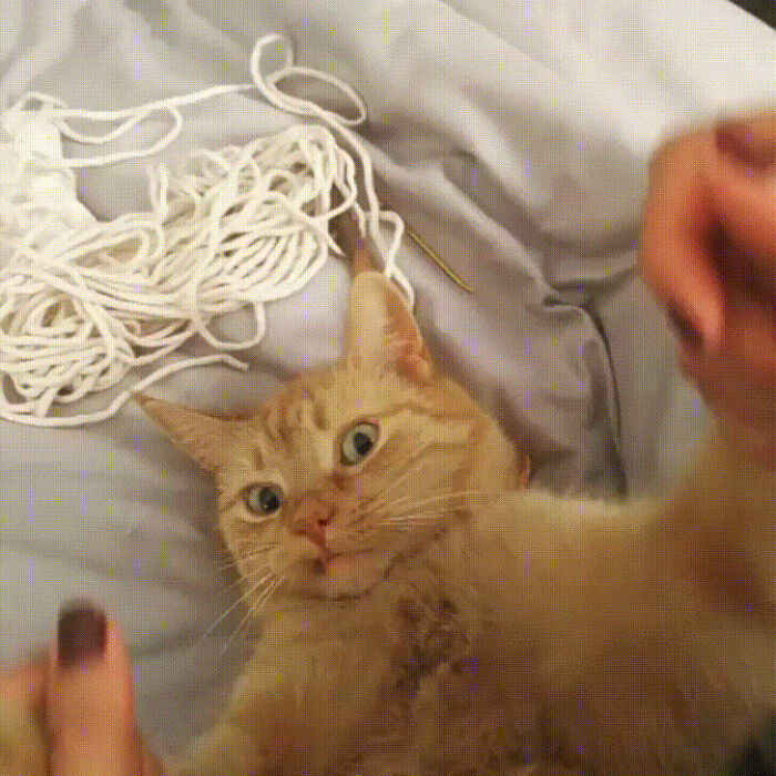 A playful orange cat lying on a bed, surrounded by yarn, reaching up with its paws.