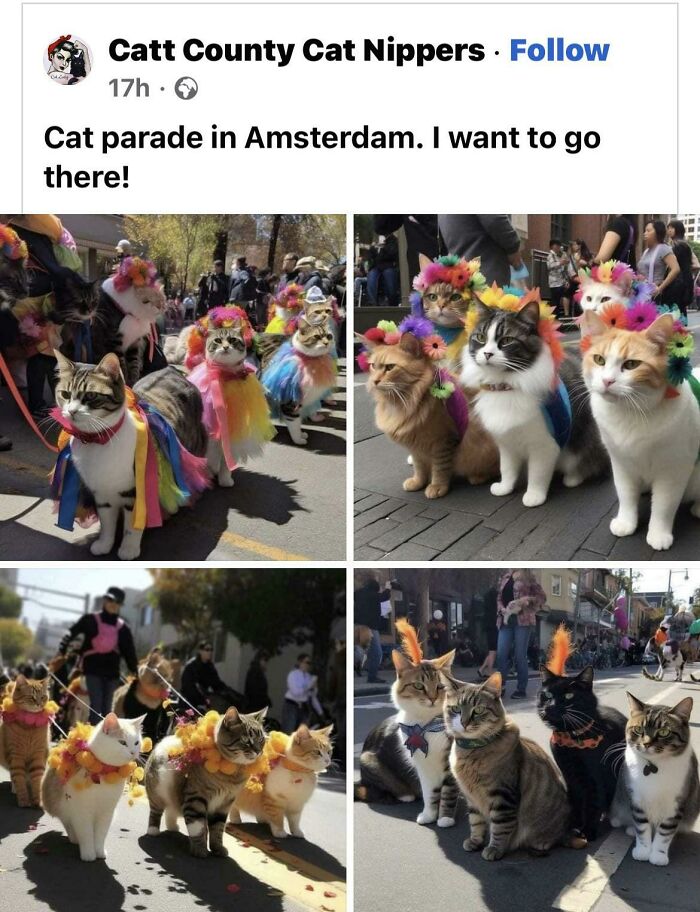 Cats in colorful outfits parade down Amsterdam street, creating a purrfect spectacle.