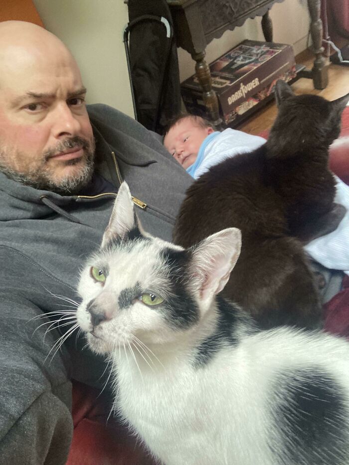 Man with two cats and a baby indoors, capturing a heartwarming moment.