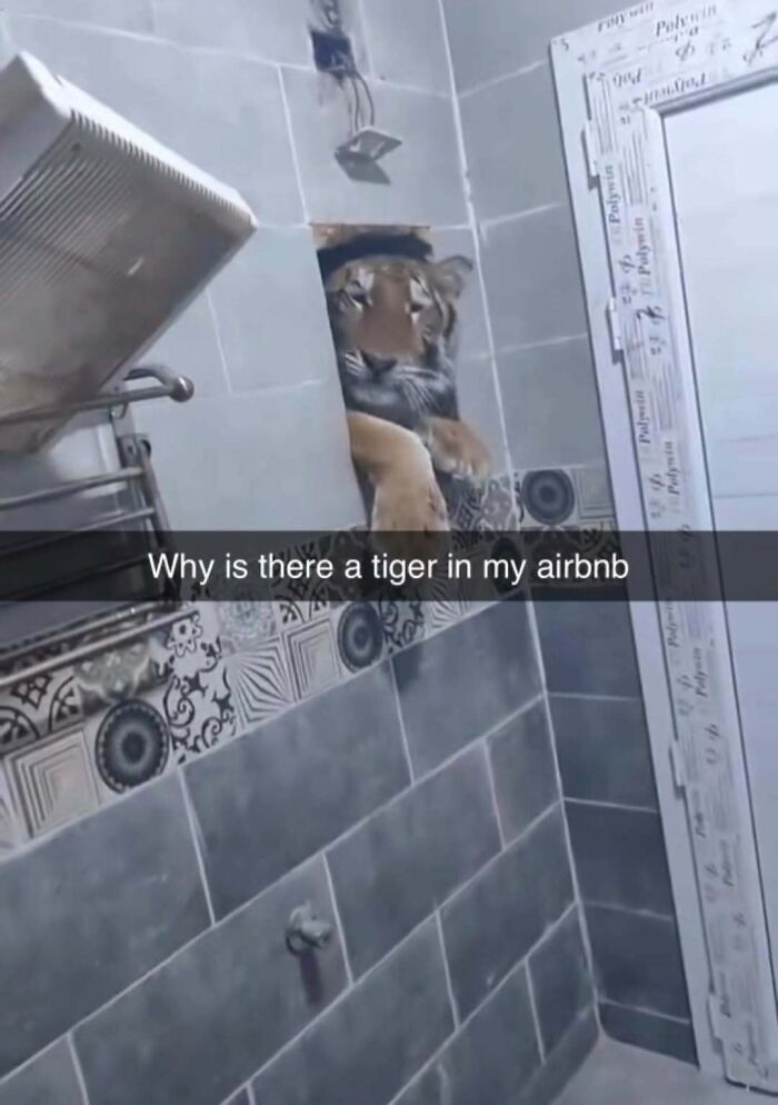 Tiger illusion in bathroom mirror at Airbnb, with humorous caption overlay about unexpected wild guests.