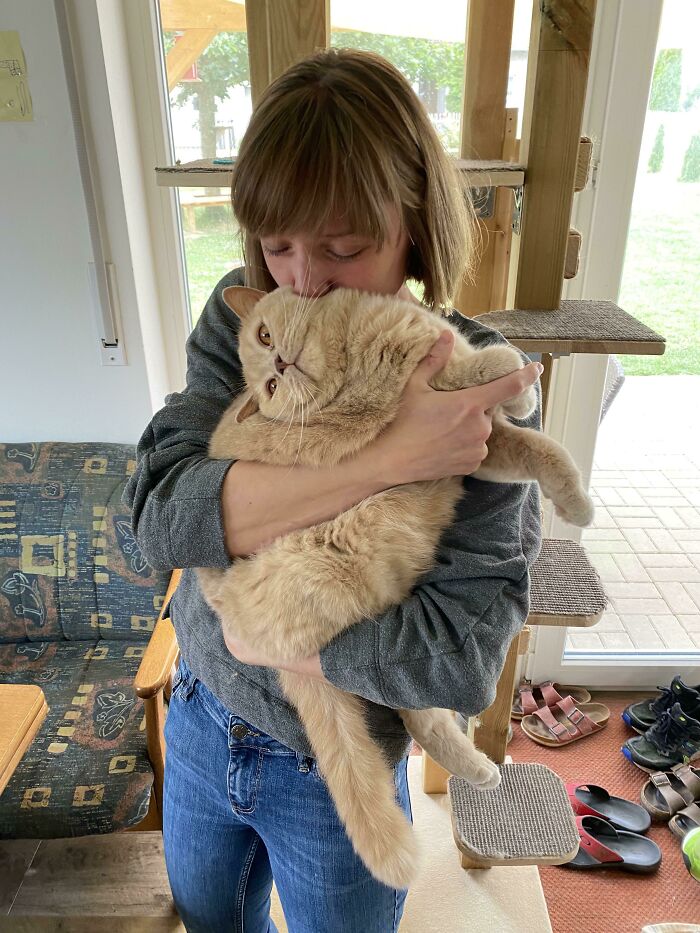 Person hugging a beige cat in a cozy room, creating a purrfect, heartwarming moment.