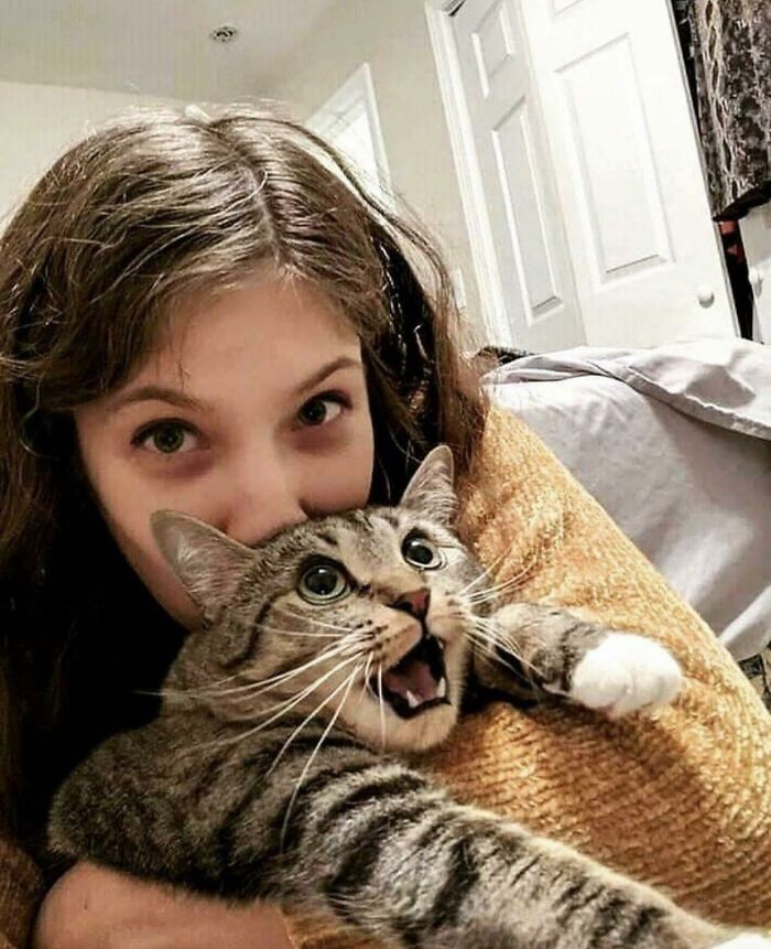 Young woman in a cozy setting hugging a surprised cat, creating a perfect purrfect moment.