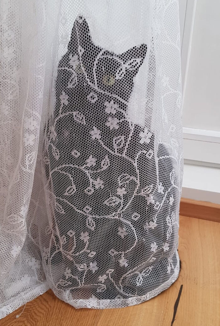 A cat hides behind a delicate lace curtain, creating a whimsical and purrfect scene.