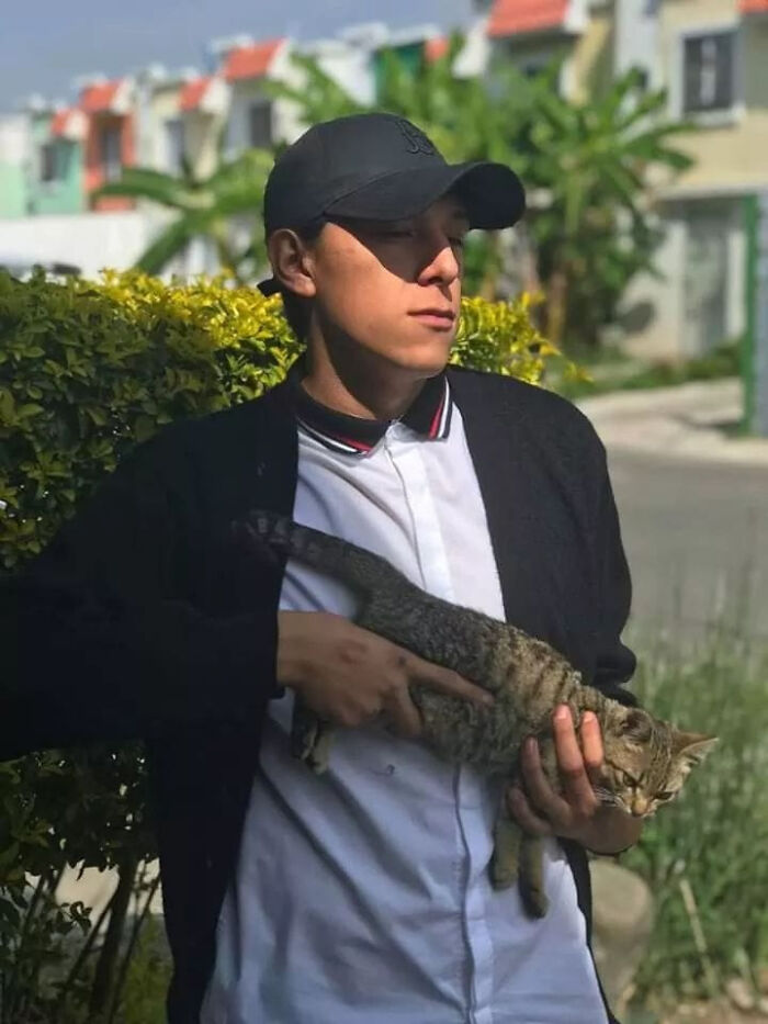 Person in a cap holding a relaxed cat outdoors, showcasing a purrfect moment under the sun.