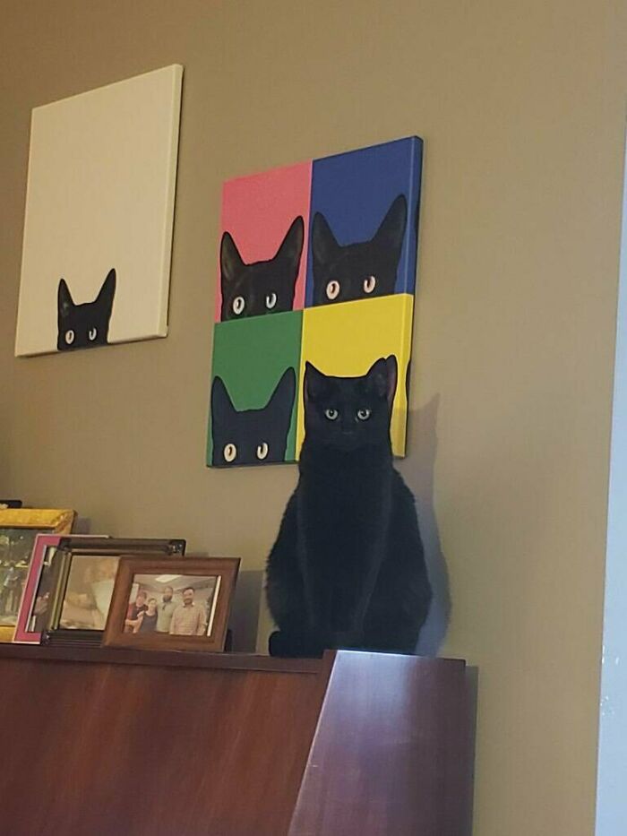 A black cat sitting on a piano beneath framed cat art, creating a purrfectly charming scene.