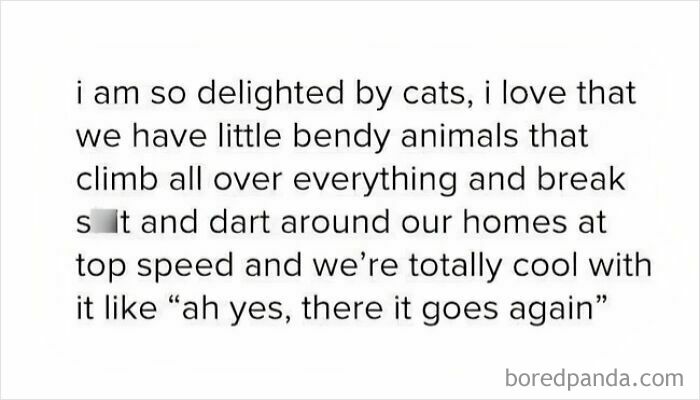 A humorous text about cats darting around homes, relating to cheerful nihilism humor.