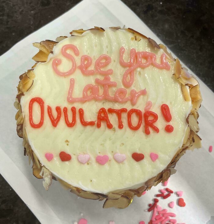 Cake with icing text saying "See You Later Ovulator," decorated with almond slices and heart sprinkles, showcasing humorous men.