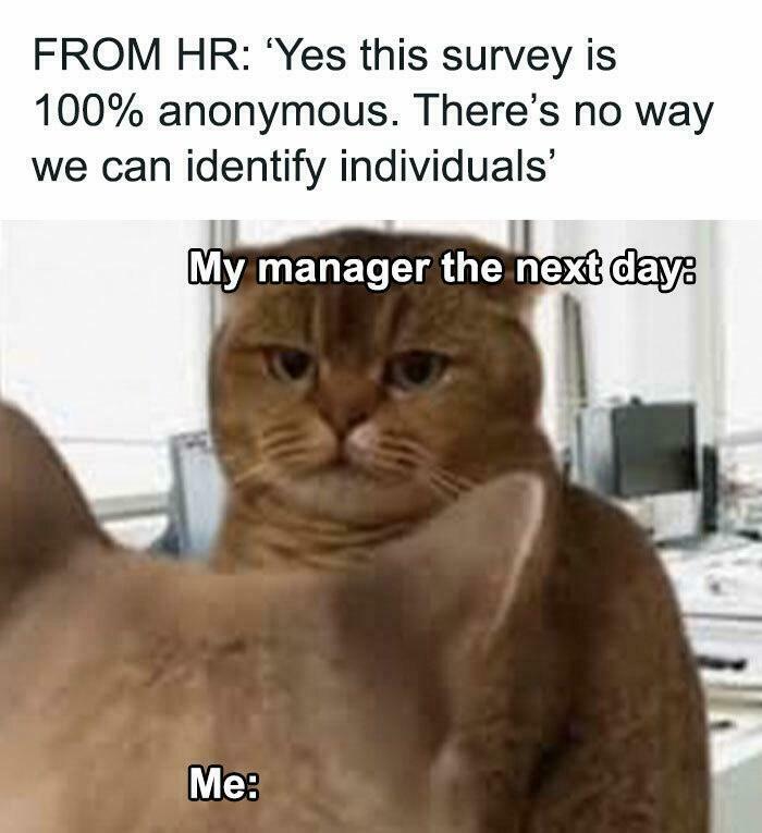 Funny work meme of a skeptical cat representing a boss questioning survey anonymity.