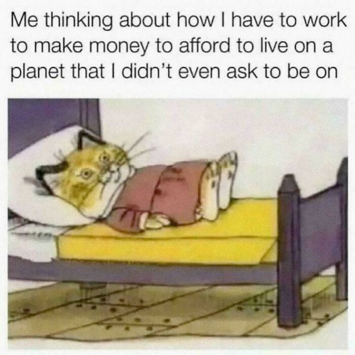 Cat in pajamas lying on bed, contemplating work-life balance with a humorous caption.