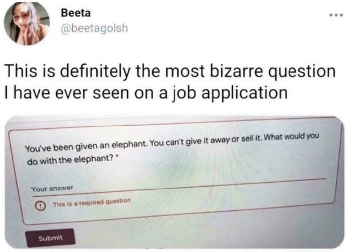 Bizarre work meme featuring a strange job application question about what to do with an elephant.