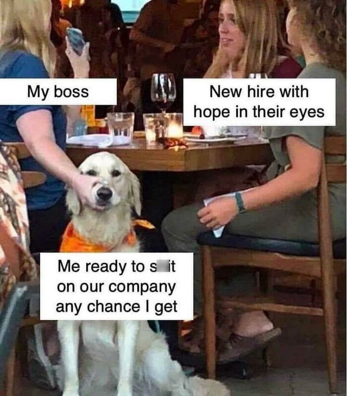 Dog in office attire at table, labeled as funny work meme about bosses and new hires at a restaurant.