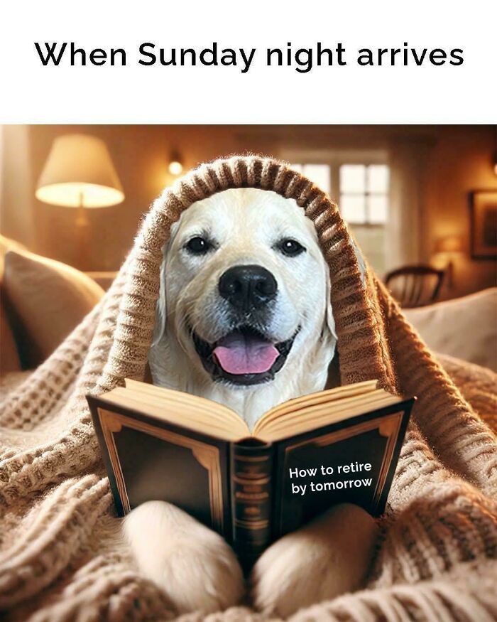 A dog under a blanket reads a funny work meme book titled "How to retire by tomorrow" on a cozy Sunday night.