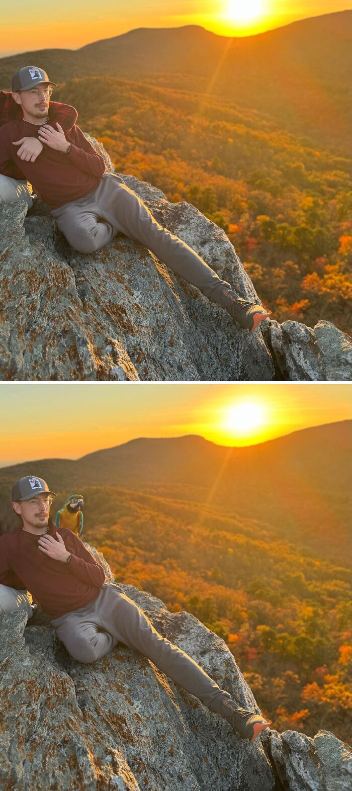 Man on a rock at sunset, with a parrot added in edited photo.