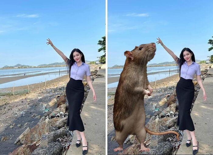 Person on beach poses with rat added humorously, showcasing funny photo edit.