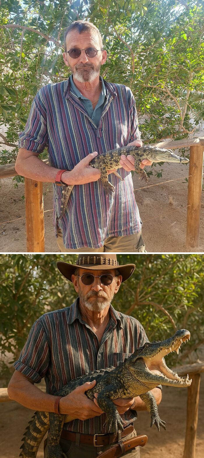 Man humorously holding edited baby alligator and large crocodile.
