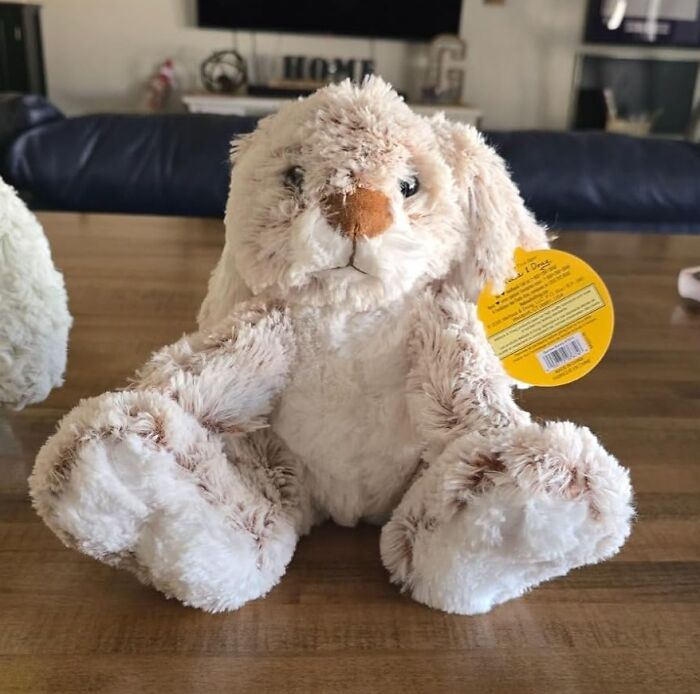 Plush bunny Easter treasure on a wooden table.