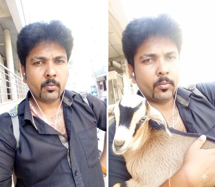Man in black shirt, first without and then with a goat, showcasing funny photo edits from a group.