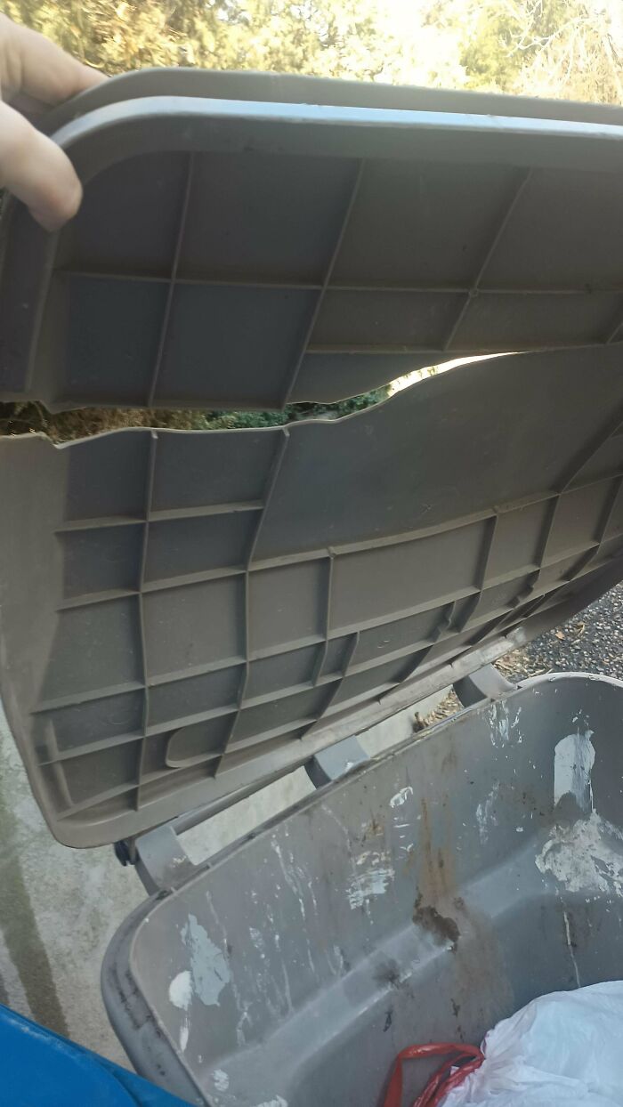 C*****d garbage bin lid, illustrating lack of self-awareness, outdoors on a sunny day.