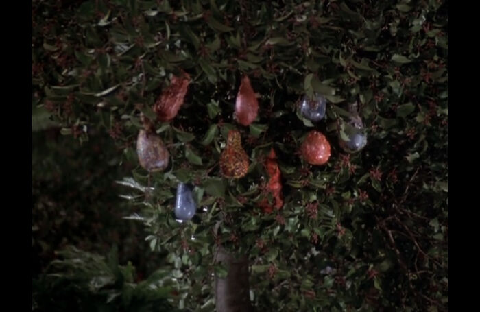 Creative film prop resembling unique fruit hanging from a tree.