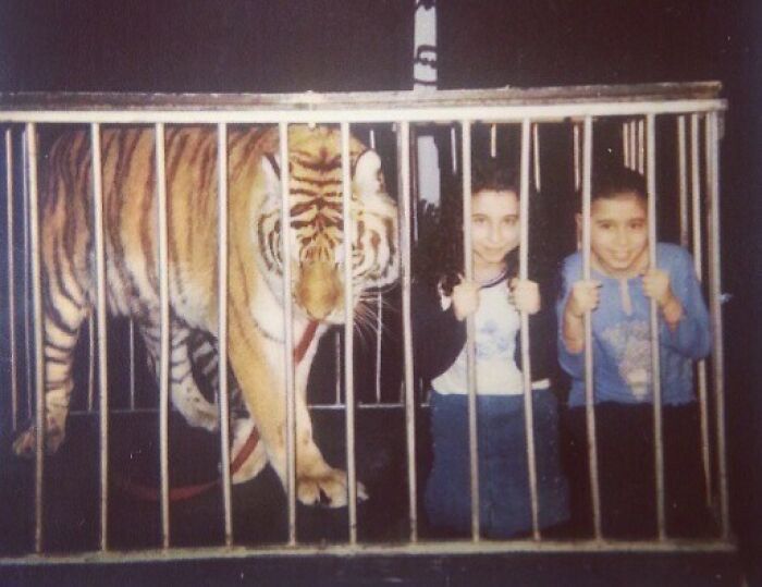 Niños sonrientes posan junto a un tigre en una jaula, sin darse cuenta del peligro.