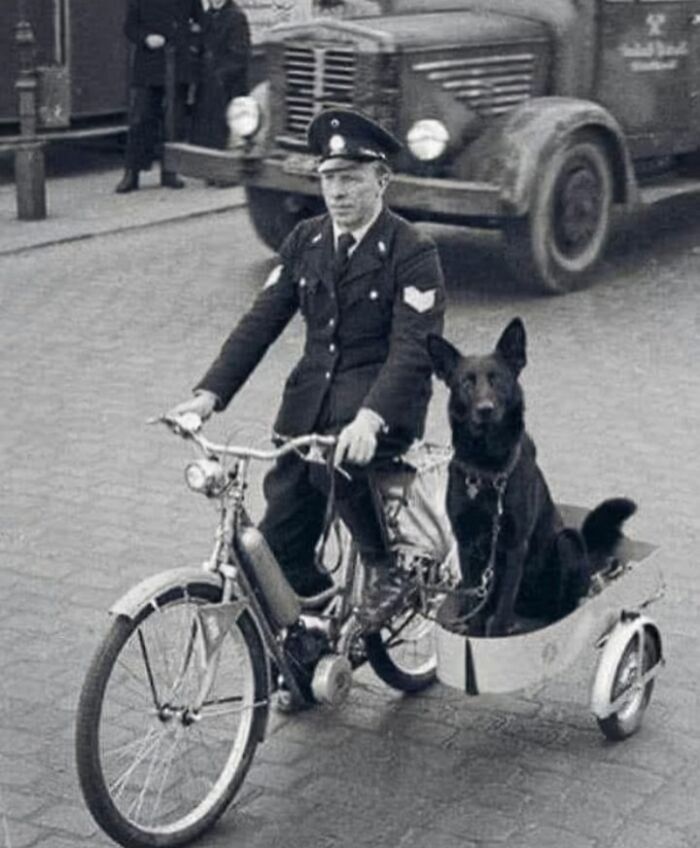 Policeman riding vintage motorcycle with dog in sidecar, an old photo shared by history enthusiasts.