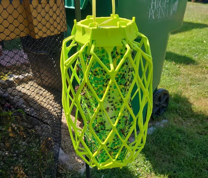 Bright green insect trap hanging outdoors, popular among Amazon movers and shakers.