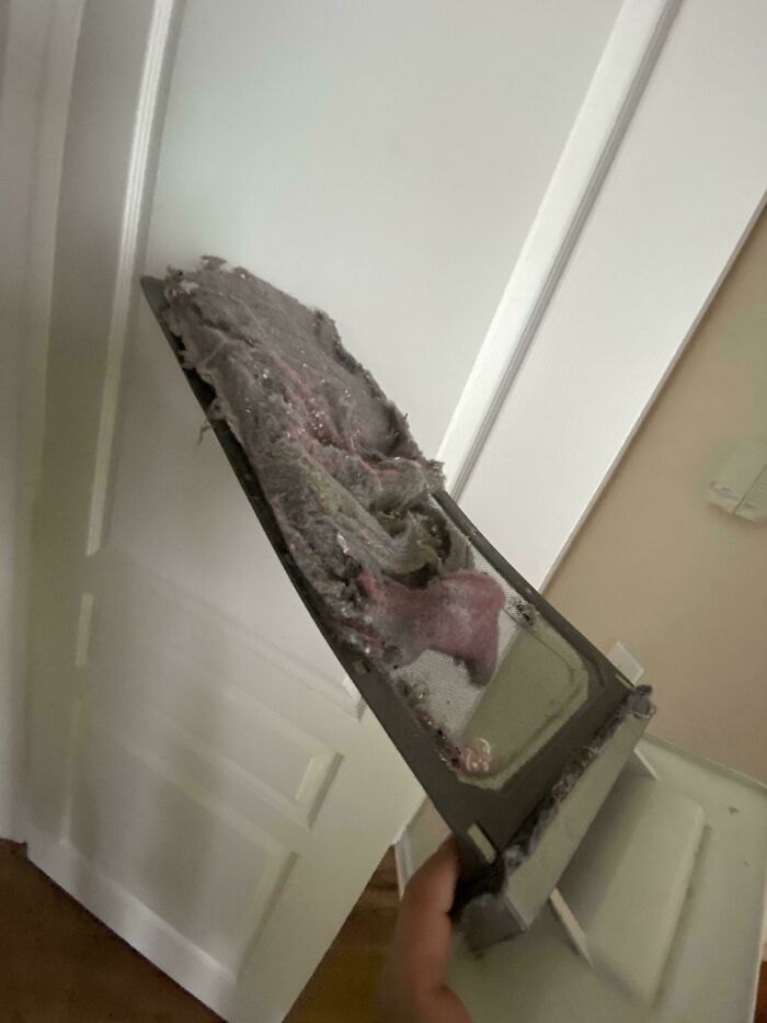 Dirty lint trap overflowing, highlighting issues often faced with bad landlords.