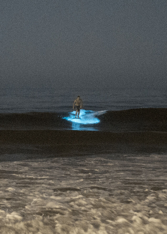 Person standing on glowing bioluminescent ocean waves at night, creating a spooky atmosphere.