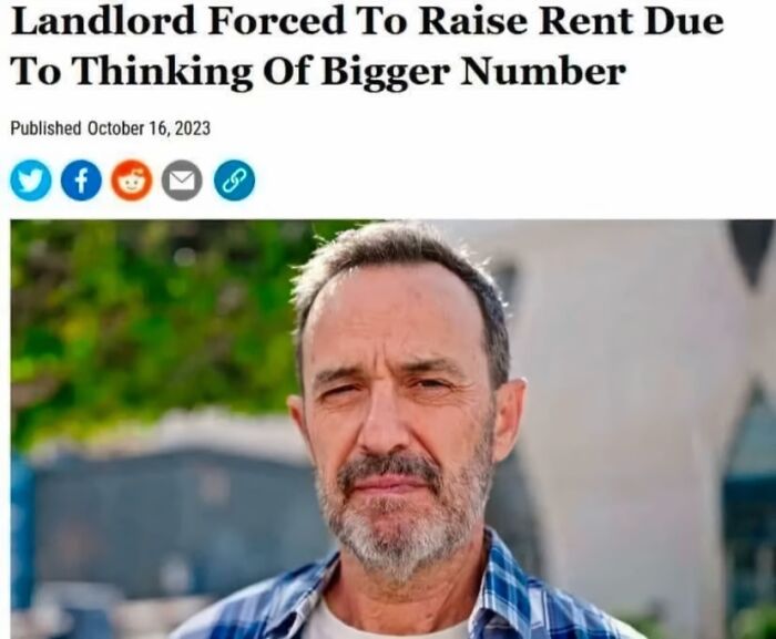 Bearded man outdoors, representing stories of horrific landlords.