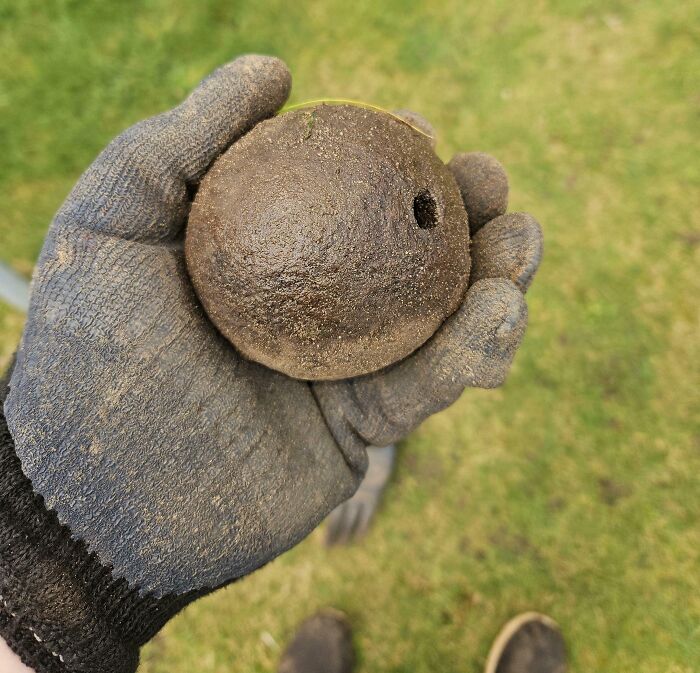 Persona sostiene objeto peligroso sin darse cuenta, usando guantes sobre césped verde.
