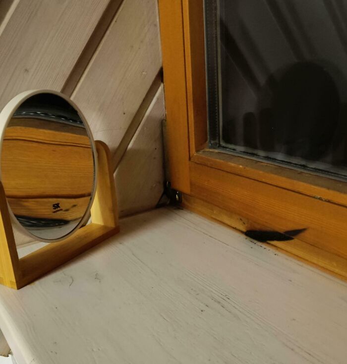 Un espejo sobre una mesa junto a una ventana con sombras, resaltando el peligro no percibido en la escena.