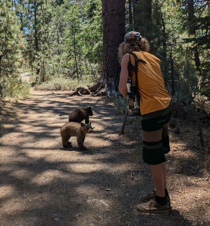 Persona con cámara fotografiando osos en un bosque, sin saber lo peligroso que es.