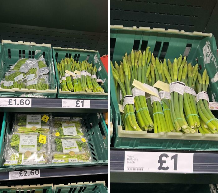 Supermarket shelf with daffodil bunches labeled as food, priced at £1, highlighting potential danger.